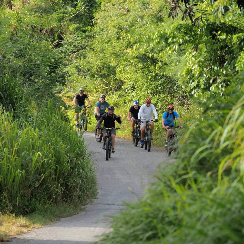 A group cycling along a lush lane on an eBike Barbados tour