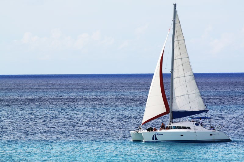 Elegance Catamaran photo 1